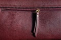 A half-open zipper sewn into a leather product. The zipper of a burgundy leather handbag. Royalty Free Stock Photo