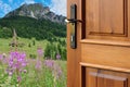 Half opened door into the beautiful nature, environmental protection concept, hope
