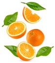 flying orange fruits with slices and green leaves isolated on white background. clipping path Royalty Free Stock Photo