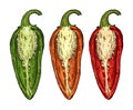 Half orange, red, green pepper jalapeno. Vintage vector engraving Royalty Free Stock Photo