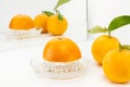 Half orange on a squeezer and two oranges with leaves Royalty Free Stock Photo