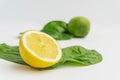 Half Organic Lemon and a lime with lemon tree leaves isolated on white. Fresh summer background.