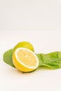 Half Organic Lemon with two lemon tree leaves and a lime isolated on white. Close up view. Fresh summer.
