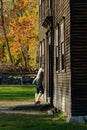 Half in, half out -- a colonial reenactor pears through the window