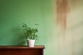 a half-painted wall transitioning from brown to green