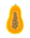 Half part of papaya fruit vector illustration isolated on white