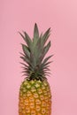 Half part of a pineapple on a pink background