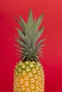 Half part of a pineapple on a red background