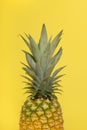 Half part of a pineapple on a yellow background