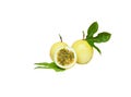 Half of passion tropical fruit Passiflora laurifolia Linnwith green stem and leaf isolated on white background, clipping path Royalty Free Stock Photo