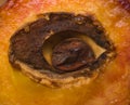 Half of peach with stone in shape of an eye Royalty Free Stock Photo