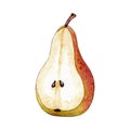 Half pear, isolated cut fruit in red and yellow, watercolor illustration on white background Royalty Free Stock Photo