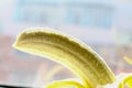 Half peeled banana close up Royalty Free Stock Photo