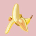 Half-peeled banana isolated on pink background.Fresh open ripe yellow banana.Vector