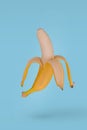 Half peeled ripe banana flying in air isolated on blue background Royalty Free Stock Photo