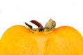 Half of persimmon Royalty Free Stock Photo