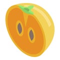 Half persimmon icon, isometric style