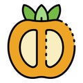 Half persimmon icon color outline vector