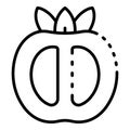 Half persimmon icon, outline style