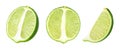 Half and pieces of lime citrus fruit. Lime cut isolated on white background, collection Royalty Free Stock Photo
