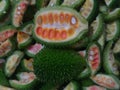 Half pieces of spiny gourd with sliced small pieces of the same.