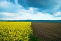 Half ploughed field with