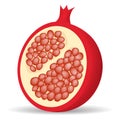 Half pomegranate icon, realistic style