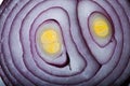 Half of purple onion close up.Chopped onion, red hot pepper and spice isolated on , top view, close-up, selective focus Royalty Free Stock Photo