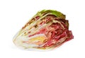 Half radicchio vegetable on white Royalty Free Stock Photo