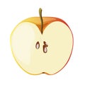 Half of red apple in a cartoon style. Vector illustration