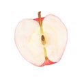 Half of red apple - Watercolor illustration. Royalty Free Stock Photo