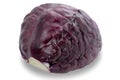 Half of red cabbage isolated on white. Looks like a brain