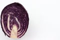 Half of red cabbage on a white background. Top view, copy space Royalty Free Stock Photo