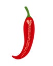 Half red chili pepper vector illustration isolated on white back Royalty Free Stock Photo