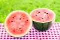 Half of red juicy watermelon on green grass background Royalty Free Stock Photo