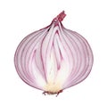 Half of red ripe onion isolated on white, top view Royalty Free Stock Photo