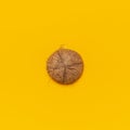 Half Ripe coconut on yellow colored background, minimal flat lay style top view with copy space. Pop art design, creative summer a Royalty Free Stock Photo