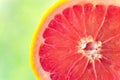 Half of Ripe Juicy Red Grapefruit on Greenery Nature Background. Vitamins Healthy Diet Summer Detox Vegan Superfoods Concept