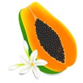 Half ripe papaya fruit with flowers isolated on white background.