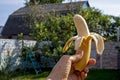 half ripe peeled banana held in a woman's hand against