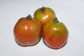 half-ripe tomatoes that are still yellowish orange in color? Royalty Free Stock Photo