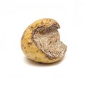 half of rotten potato isolated on white background