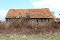 Half ruinous barn surrounded with overgrown dried vegetation