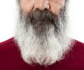 Half senior face with long white beard