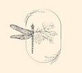 Half shape dragonfly with branch and flowers for tattoo t-shirt print or wall art. Hand drawn wedding herb. Botanical