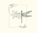 Half shape dragonfly with branch and flowers for tattoo t-shirt print or wall art. Hand drawn wedding herb. Botanical