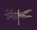 Half shape dragonfly with branch and flowers for tattoo t-shirt print or wall art. Hand drawn wedding herb. Botanical
