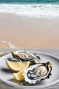 Half Shell Raw Oysters with Slices of Lemon on Beachfront Table