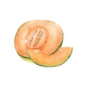 Half and slice of Japanese melons, orange melon or cantaloupe with seeds Royalty Free Stock Photo