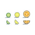 Half and slice orange lemon lime fruit isolated on white background. Organic product. Bright harvest illustration. Flat style Royalty Free Stock Photo